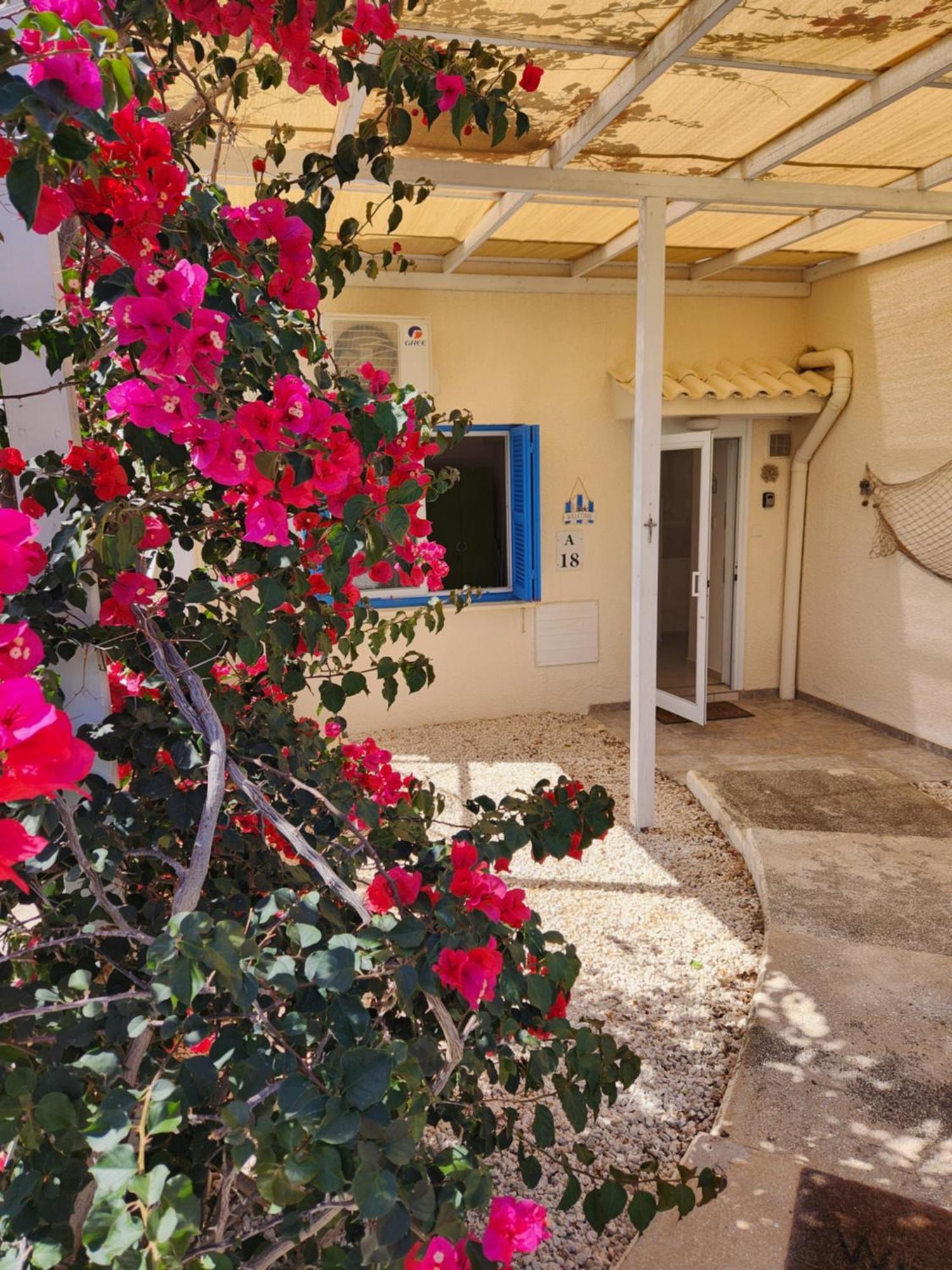 Ocean Pearl Apartment Peyia Bagian luar foto