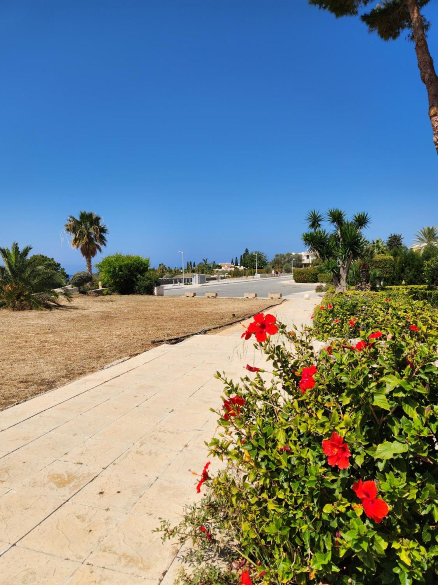 Ocean Pearl Apartment Peyia Bagian luar foto